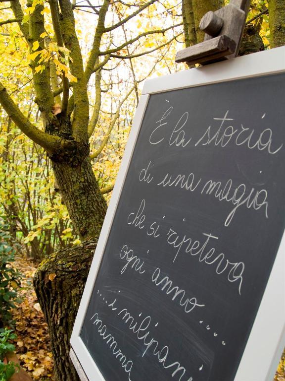 Pensjonat Il Vecchio Milipano Montepulciano Zewnętrze zdjęcie